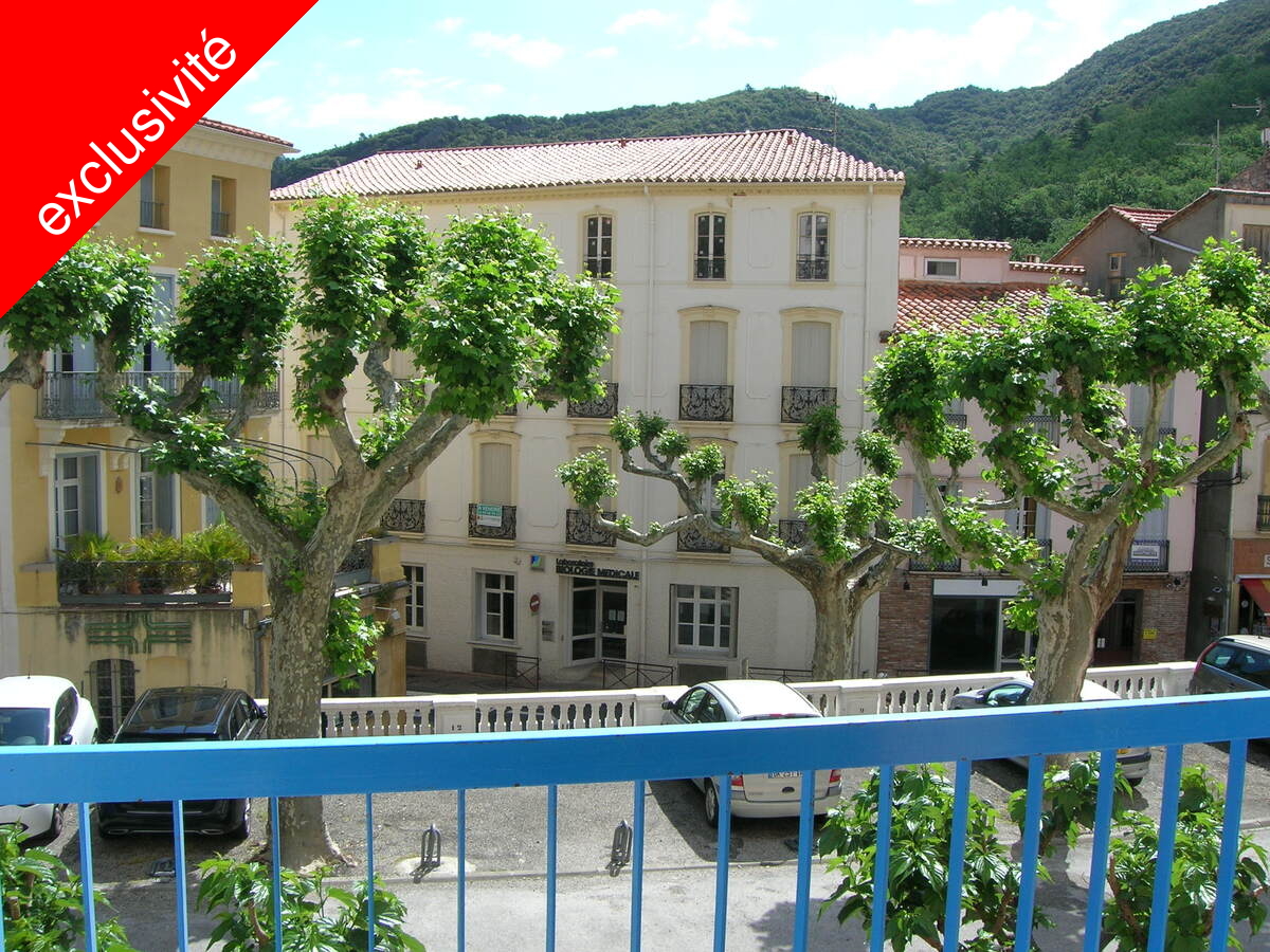 Appartement en rsidence - Amlie-les-Bains-Palalda